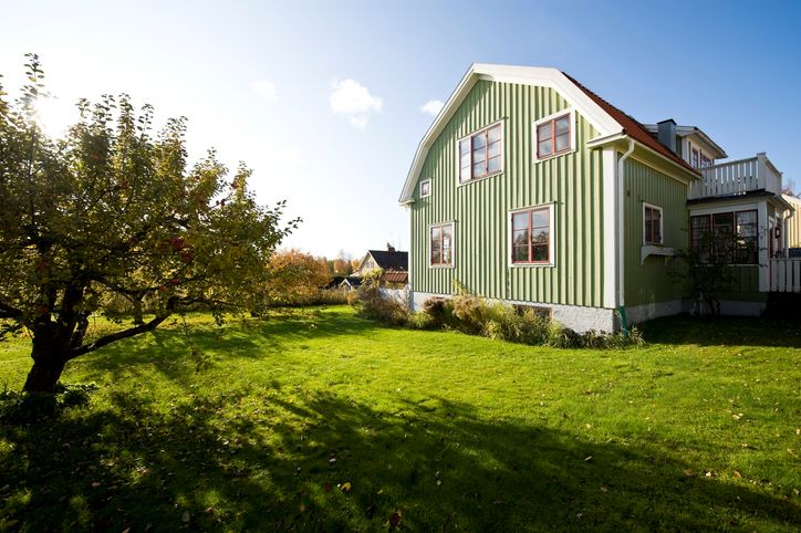 Grønt hus med hage